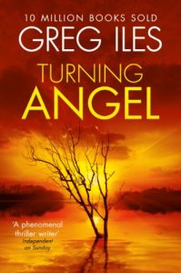 Descargar Turning Angel (Penn Cage) pdf, epub, ebook