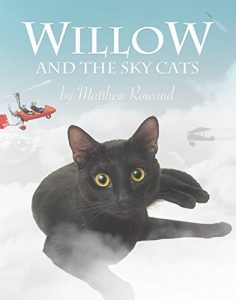 Descargar Willow and the Sky Cats (English Edition) pdf, epub, ebook