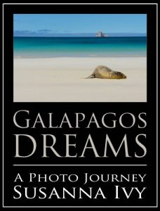 Descargar Galapagos Dreams: A Photo Journey (English Edition) pdf, epub, ebook
