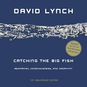 Descargar Catching the Big Fish: Meditation, Consciousness, and Creativity: 10th Anniversary Edition pdf, epub, ebook