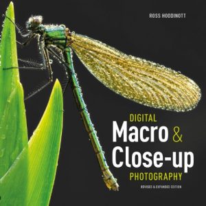 Descargar Digital Macro & Close-up Photography: Revised &Expanded Edition (English Edition) pdf, epub, ebook