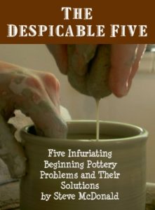 Descargar The Despicable Five – Five Infuriating Beginning Pottery Problems and Their Solutions (English Edition) pdf, epub, ebook