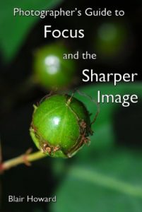 Descargar Photographer’s Guide to Focus and the Sharper Image (English Edition) pdf, epub, ebook