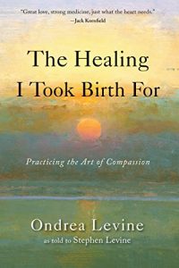 Descargar The Healing I Took Birth For: Practicing the Art of Compassion pdf, epub, ebook