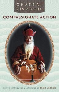 Descargar Compassionate Action pdf, epub, ebook
