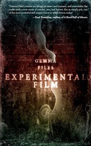 Descargar Experimental Film pdf, epub, ebook