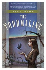 Descargar The Tourmaline (A Princess of Roumania) pdf, epub, ebook