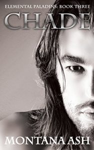 Descargar Chade (Elemental Paladins Book 3) (English Edition) pdf, epub, ebook