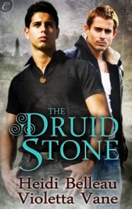 Descargar The Druid Stone pdf, epub, ebook