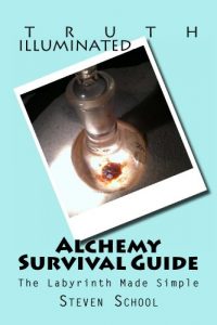Descargar Alchemy Survival Guide (English Edition) pdf, epub, ebook