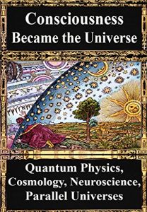 Descargar How Consciousness Became the Universe:: Quantum Physics, Cosmology, Relativity, Evolution, Neuroscience, Parallel Universes (English Edition) pdf, epub, ebook