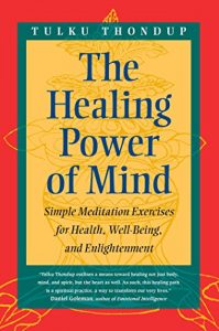 Descargar The Healing Power of Mind: Simple Meditation Exercises for Health, Well-Being, and Enlightenment (Buddhayana S) pdf, epub, ebook