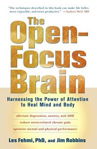 Descargar The Open-Focus Brain: Harnessing the Power of Attention to Heal Mind and Body pdf, epub, ebook