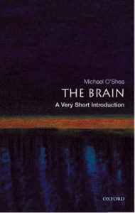 Descargar The Brain: A Very Short Introduction (Very Short Introductions) pdf, epub, ebook