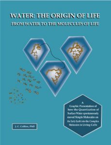 Descargar Water: The Origin of Life from Water to the Molecules of Life (English Edition) pdf, epub, ebook