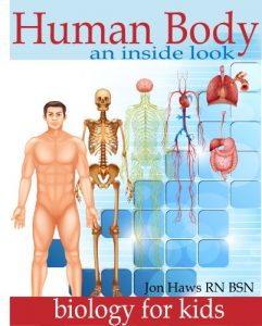 Descargar Human Body: Human Anatomy for Kids an Inside Look at Body Organs (English Edition) pdf, epub, ebook