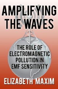 Descargar Amplifying the Waves: The Role of Electromagnetic Pollution in EMF Sensitivity (English Edition) pdf, epub, ebook