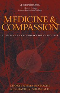 Descargar Medicine and Compassion: A Tibetan Lama’s Guidance for Caregivers (English Edition) pdf, epub, ebook