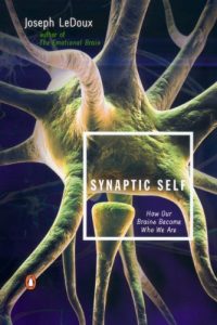 Descargar Synaptic Self: How Our Brains Become Who We Are pdf, epub, ebook