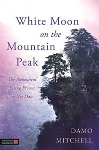 Descargar White Moon on the Mountain Peak: The Alchemical Firing Process of Nei Dan (Daoist Nei Gong) pdf, epub, ebook