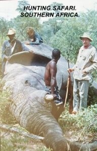 Descargar HUNTING. SOUTHERN AFRICAN SAFARI.: AN ELEPHANT AND BUFFALO HUNT. (English Edition) pdf, epub, ebook