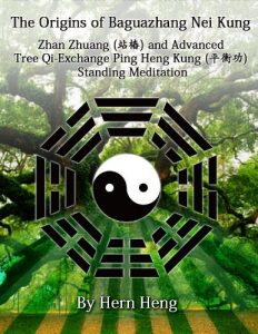 Descargar The Origins of Baguazhang Nei Kung and Dragon Gate Taoism: Zhan Zhuang and Advanced Tree Qi-Exchange Ping Heng Kung Meditation (English Edition) pdf, epub, ebook