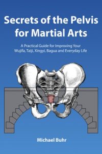 Descargar Secrets of the Pelvis for Martial Arts: A Practical Guide for Improving Your  Wujifa, Taiji, Xingyi, Bagua and Everyday Life (English Edition) pdf, epub, ebook