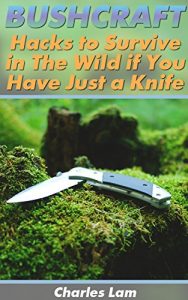 Descargar Bushcraft: Hacks to Survive in The Wild if You Have Just a Knife: (Survival Tactics, How to Survive in the Forest) (Wilderness Survival, How to Survive Natural Disaster) (English Edition) pdf, epub, ebook