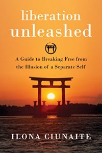 Download Liberation Unleashed: A Guide to Breaking Free from the Illusion of a Separate Self pdf, epub, ebook