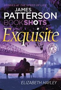 Download Exquisite: BookShots (The Diamond Trilogy Book 3) pdf, epub, ebook