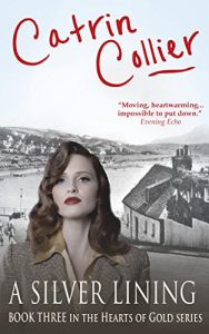 Download A Silver Lining (The Hearts of Gold Book 3) pdf, epub, ebook