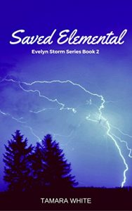 Download Saved Elemental (Evelyn Storm Series Book 2) pdf, epub, ebook