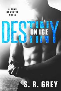 Download Destiny on Ice (Boys of Winter Book 1) pdf, epub, ebook
