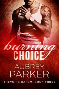 Download Burning Choice (Trevor’s Harem Book 3) pdf, epub, ebook