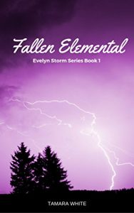 Download Fallen Elemental (Evelyn Storm Series Book 1) pdf, epub, ebook