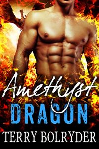 Download Amethyst Dragon (Awakened Dragons Book 5) pdf, epub, ebook