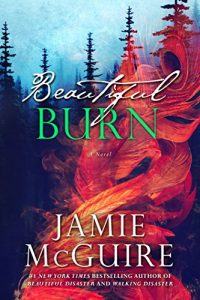 Download Beautiful Burn: A Novel (The Maddox Brothers Series Book 4) pdf, epub, ebook