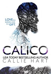 Download Calico pdf, epub, ebook