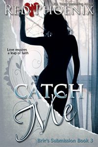 Download Catch Me (Brie’s Submission, #3) pdf, epub, ebook