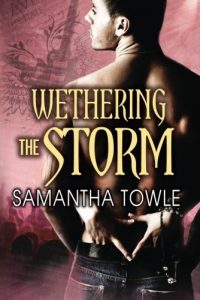 Download Wethering the Storm (The Storm series Book 2) pdf, epub, ebook