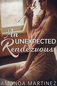 Download An Unexpected Rendezvous (Three Book Bundle) pdf, epub, ebook