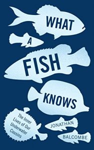 Download What a Fish Knows: The Inner Lives of Our Underwater Cousins pdf, epub, ebook