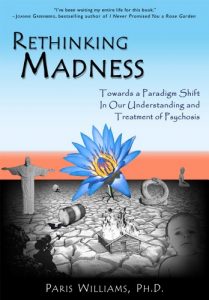 Download Rethinking Madness: Towards a Paradigm Shift in Our Understanding and Treatment of Psychosis pdf, epub, ebook