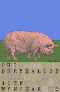 Download The Chrysalids (Penguin Modern Classics) pdf, epub, ebook