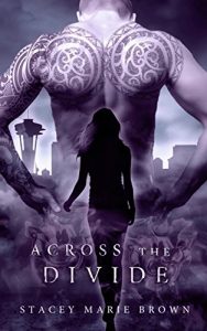 Download Across The Divide (Collector Series Book 3) pdf, epub, ebook
