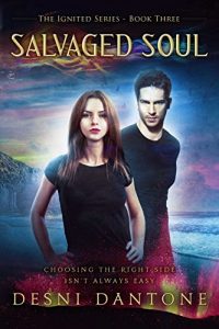 Download Salvaged Soul (The Ignited Series Book 3) pdf, epub, ebook