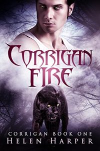 Download Corrigan Fire: Bloodfire (Corrigan Series Book 1) pdf, epub, ebook