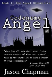 Download Codename Angel: Based on true events (The Angel Chronicles Book 1) pdf, epub, ebook