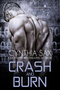 Download Crash And Burn (Cyborg Sizzle Book 3) pdf, epub, ebook
