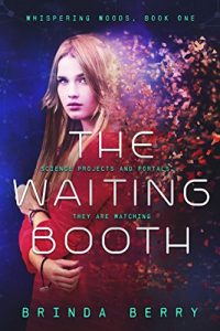 Download The Waiting Booth (Whispering Woods Book 1) pdf, epub, ebook